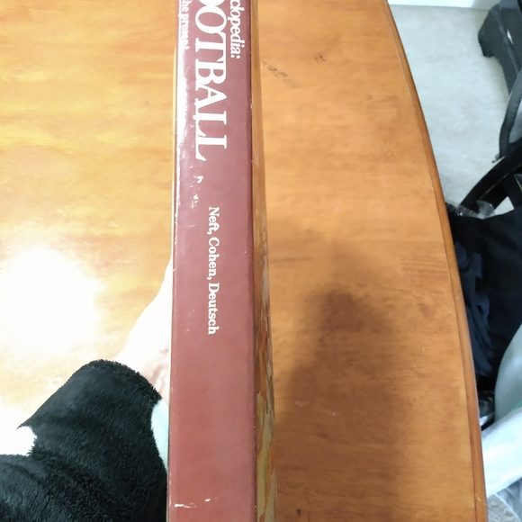 The Sports Encyclopedia Pro Football The Modern Era 1960 to the present - Picture 5 of 10